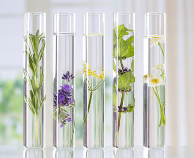 Natürliche Abführmittel – Kräuter und Blüten in Reagenzgläsern